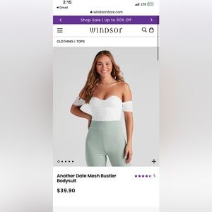 Windsor Mesh Bustier Brand New